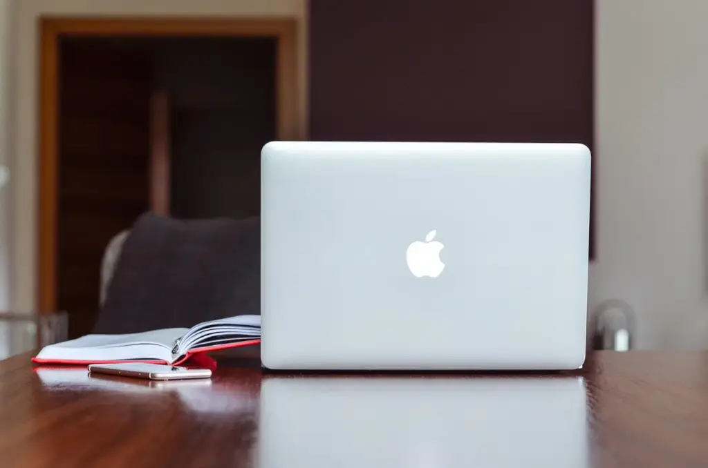 Developer comparing hash table and BST on laptop